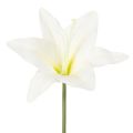 Floristik24 Kunstmatige witte tijgerlelies voor vazen en bloemstukken, bosje van 6 bloemen (29 cm).