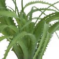 Floristik24 Aloë groene kunstplant om groene plant in te steken 38Øcm