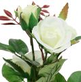 Floristik24 Tafeldecoratie roos in een pot wit 24cm