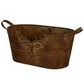 Floristik24 Ovale metalen schaal met handvatten, hertenmotief, roestkleurige afwerking, 36 cm