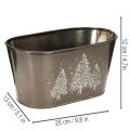 Ovale plantenbak met reliëf van een sparrenboom, 25 cm | Floristik24.nl