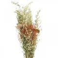 Boeket droogbloemen granen en klaprozen droogdecoratie 60cm 100g