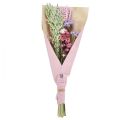 Floristik24 Droogbloemenboeket strobloemen strand lila roze 58cm