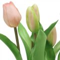 Floristik24 Tulp roze, groen in pot Kunstpotplant decoratieve tulp H23cm
