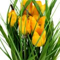 Floristik24 Tulpen in gele pot 30cm