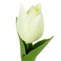 Floristik24 Voorjaarsdecoratie, kunsttulpen, zijden bloemen, decoratieve tulpen groen/creme 12 stuks