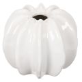 Floristik24 Pompoenvormige keramische vaas, wit, woondecoratie, 15 cm
