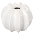 Floristik24 Decoratieve vaas in de vorm van een pompoen, glanzend, herfstdecoratie voor de woonkamer, 19 cm