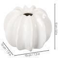 Decoratieve vaas in de vorm van een pompoen, glanzend, herfstdecoratie voor de woonkamer, 19 cm | Floristik24.nl