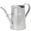 Floristik24 Gegalvaniseerde decoratieve gieter, metaal, grijs, vintage look, 1,7 liter, 23 cm hoog, voor stijlvolle bloemdecoraties en plantenbakken.