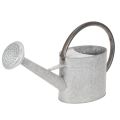Floristik24 Vintage metalen gieter, zilvergrijs, stijlvolle tuindecoratie, bloemenvaas, L53cm H29cm