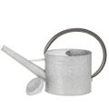 Vintage metalen gieter,