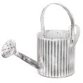 Floristik24 Vintage plantenpot Ø17cm, decoratieve gieter, metalen plantenpot in shabby chic stijl