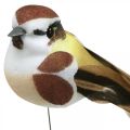 Floristik24 Lentedecoratie, vogels op draad, kunstvogel bruin, wit H3cm 12st