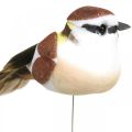 Floristik24 Lentedecoratie, vogels op draad, kunstvogel bruin, wit H3cm 12st