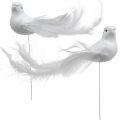 Floristik24 Huwelijksdecoratie, duiven op draad, huwelijksduiven wit H4.5cm 12st