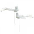 Floristik24 Witte duiven, bruiloft, decoratieve duiven, vogels op draad H6cm 6st