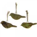 Floristik24 Vogels om op te hangen, lentedecoratie, houten hanger natuur, groen H4cm 6st