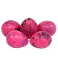 Floristik24 Kwarteleitjes Roze 3,5-4cm Geblazen Eieren Paasdecoratie 50st