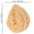 Walnoten voor decoratie, natuurproduct, 3-4 cm, 300 g | Floristik24.nl