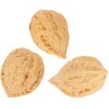 Walnoten voor decoratie, natuurproduct, 3-4 cm, 300 g | Floristik24.nl