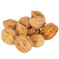 Floristik24 Walnoten, een natuurlijk product voor tafeldecoratie en doe-het-zelfprojecten. Natuurlijke walnoten, 4-5 cm, 300 g.