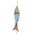 Floristik24 Maritieme decoratieve hanger houten vis om op te hangen lichtblauw L123cm