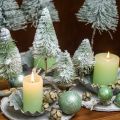 Floristik24 Kerstdecoratie besneeuwde clip Groen H13/19cm 4st