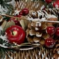 Floristik24 Kerstkrans met decoratief ingesneeuwd fruit Ø33cm