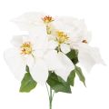 Floristik24 Kunstmatige kerstster, wit, grote bloem, decoratieve plant, 40 cm