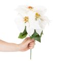 Kunstmatige kerstster, wit, grote bloem, decoratieve plant, 40 cm | Floristik24.nl