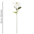 Kunstmatige witte poinsettia, grote bloeiende takdecoratie, 65 cm, 2 stuks | Floristik24.nl