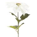 Kunstmatige witte poinsettia, grote bloeiende takdecoratie, 65 cm, 2 stuks | Floristik24.nl