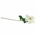 Poinsettia kunstbloem wit 67cm | Floristik24.nl