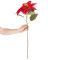 Kunstmatige rode poinsettia met enkele steel, decoratie, 82 cm | Floristik24.nl