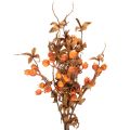 Kunstmatige meidoorntak, herfstdecoratie, 75 cm | Floristik24.nl