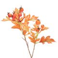 Floristik24 Kunstmatige meidoorntak met bladeren en bessen, 62 cm