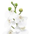 Floristik24 Witte kunstorchidee Phalaenopsis Real Touch 32cm