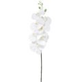 Floristik24 Witte kunstorchidee Phalaenopsis Real Touch H83cm