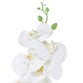 Floristik24 Witte kunstorchidee Phalaenopsis Real Touch H83cm