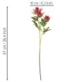 Kunstmatige rode disteltak voor decoratie, 67 cm, 3 stuks | Floristik24.nl