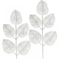 Floristik24 Winterdecoratie, deco bladeren, kunsttak wit glitter L36cm 10st