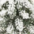 Winterdecoratie kerstboom in groen wit Ø7cm H14cm 4st | Floristik24.nl