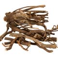 Floristik24 Decoratieve houten takken en wortelstokken, natuurlijk gedroogd, 18 cm, 500 g