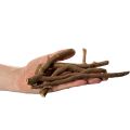 Decoratieve houten takken en wortelstokken, natuurlijk gedroogd, 18 cm, 500 g | Floristik24.nl