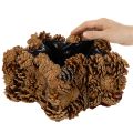 Bloempot in de vorm van een dennenappel, stervormig, 30 cm | Floristik24.nl