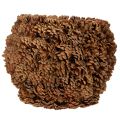 Decoratieve plantenpot met