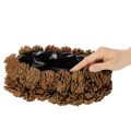 Ovale bloempot in de vorm van een dennenappel, 30 cm | Floristik24.nl