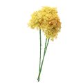 Floristik24 Sierknoflook Wild Allium Kunstmatig Geel 70cm 3st