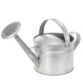 Floristik24 Vintage zinken gieter, 27 cm - plantenbak voor tuin en terras, metalen bloempot